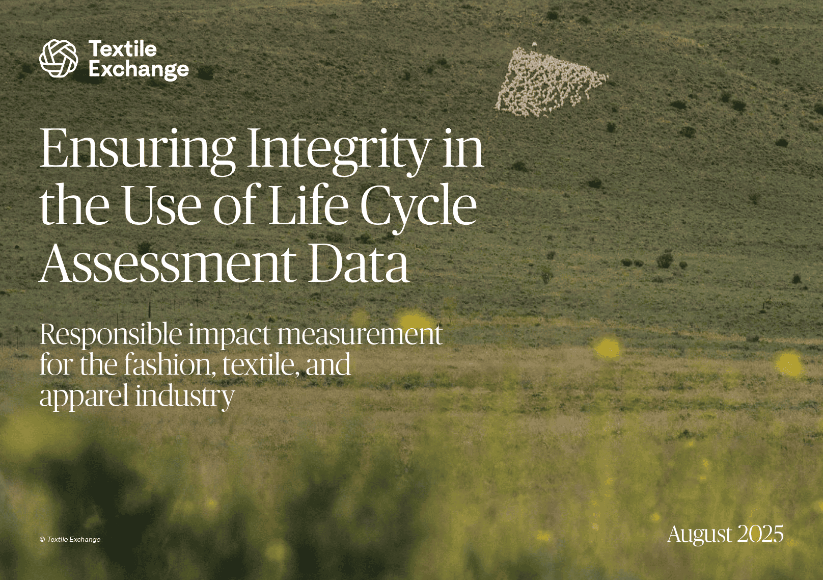 Ensuring Integrity in the Use of LCA